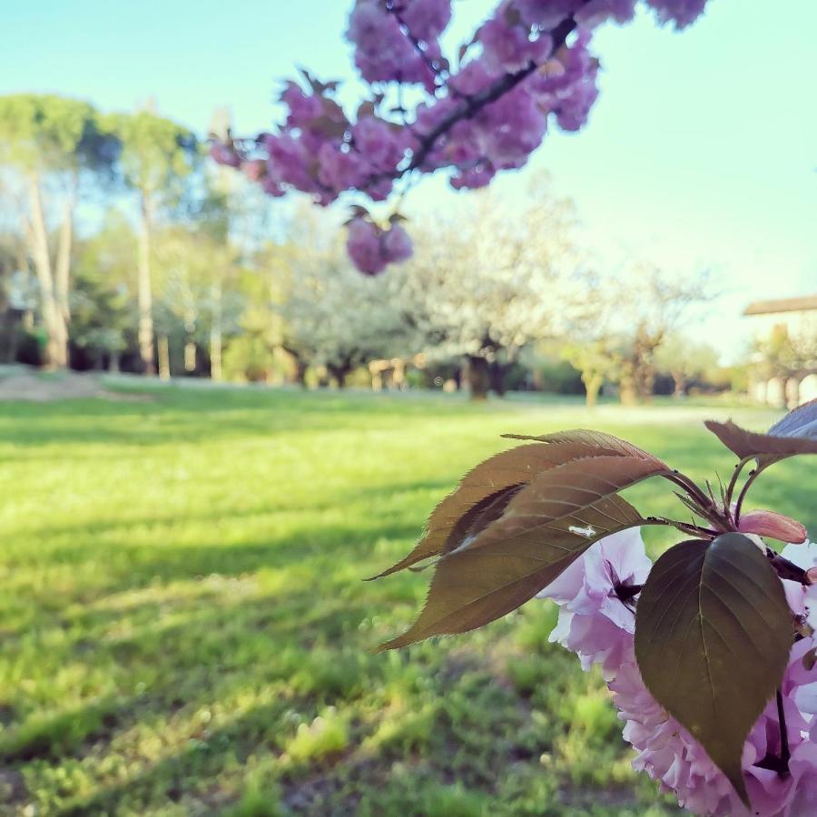 Oasi Borghetto Verde Castellaro  Esterno foto